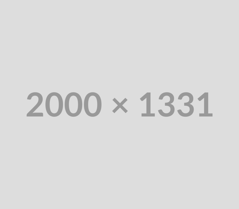 Gray rectangle displaying “2000 x 1331” in the center.