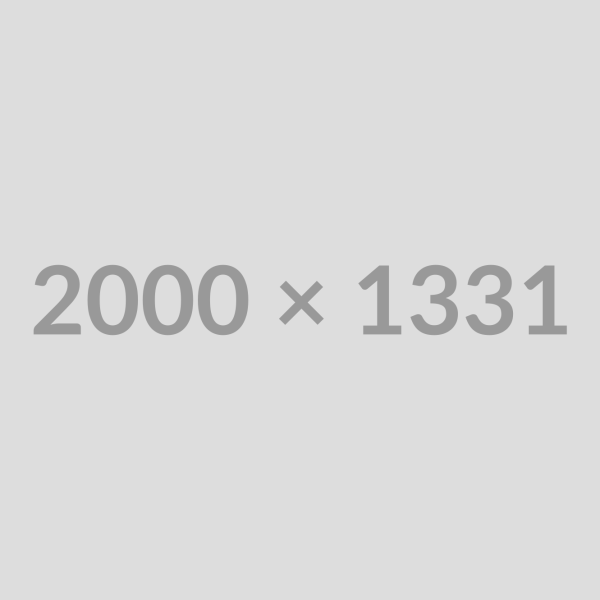 Gray placeholder, 2000 x 1331 text in center.