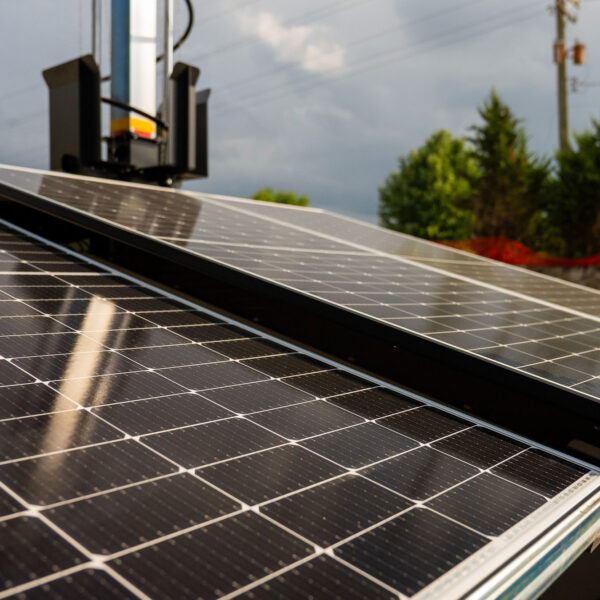 Solar panels outside with trees and power lines.